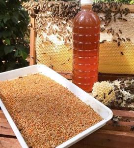 Mật Ong Hoa Cà Phê Gia Lai Nguyên Chất