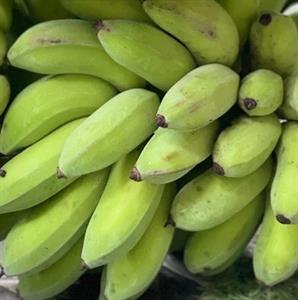 Bột Chuối Tây Xanh